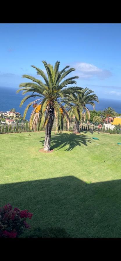 Vista Mar Azul Elegante Y Acogedor Apartment Santa Úrsula Екстериор снимка
